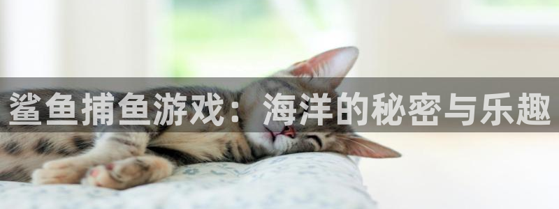 杏盛登录平台：鲨鱼捕鱼游戏：海洋的秘密与乐趣