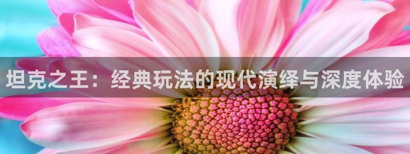 杏盛登录注册：坦克之王：经典玩法的现代演绎与深度体验