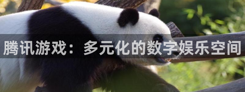 杏盛登录下载：腾讯游戏：多元化的数字娱乐空间