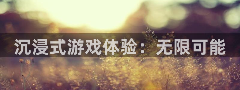 杏盛平台测速：沉浸式游戏体验：无限可能