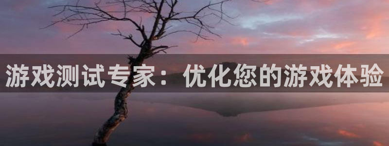 杏盛平台服务：游戏测试专家：优化您的游戏体验