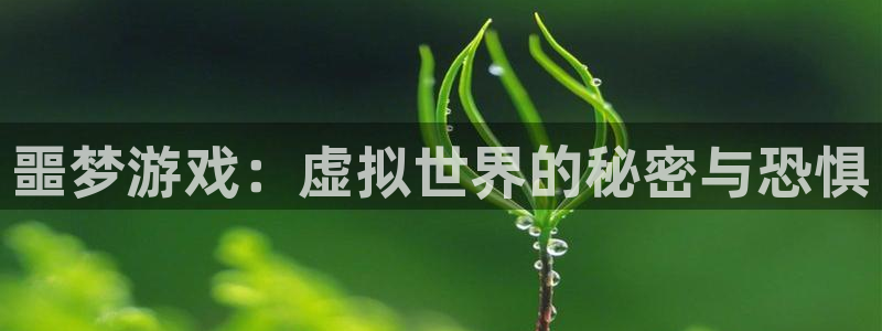 杏盛登录注册：噩梦游戏：虚拟世界的秘密与恐惧